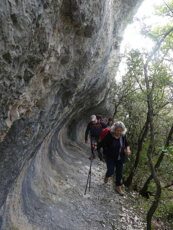 St Saturnin lès Apt-Baume RoustanJeudi 6 février 2020 SIaaDt