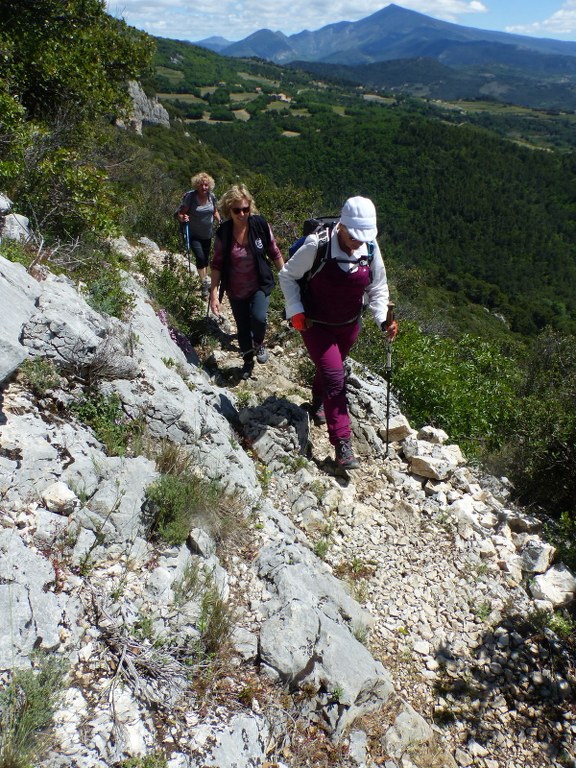 Lafare-Les Dentelles de Montmirail-Jeudi 13 mai 2021 SdwpzG