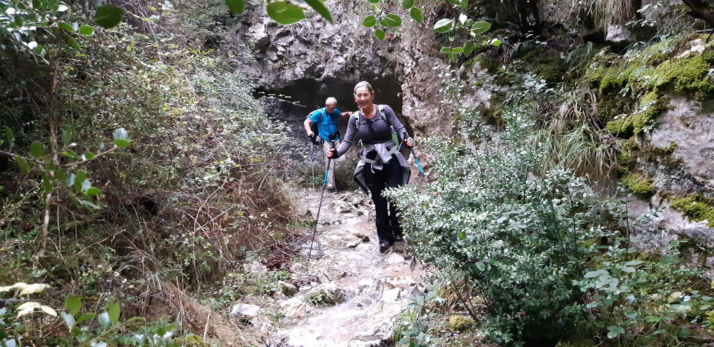 Les Jas du Ventoux sud-Jeudi 8 novembre 2018 T03SbH