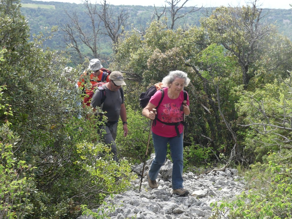 St Saturnin-lès-Apt-Baume Roustan-Jeudi 10 mai 2018 TcbvFx