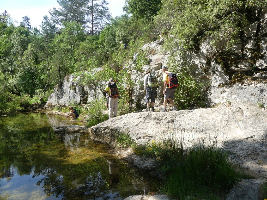 Tourves-Gorges du Caramy-Jeudi 20 juin 2019 VKTBrw