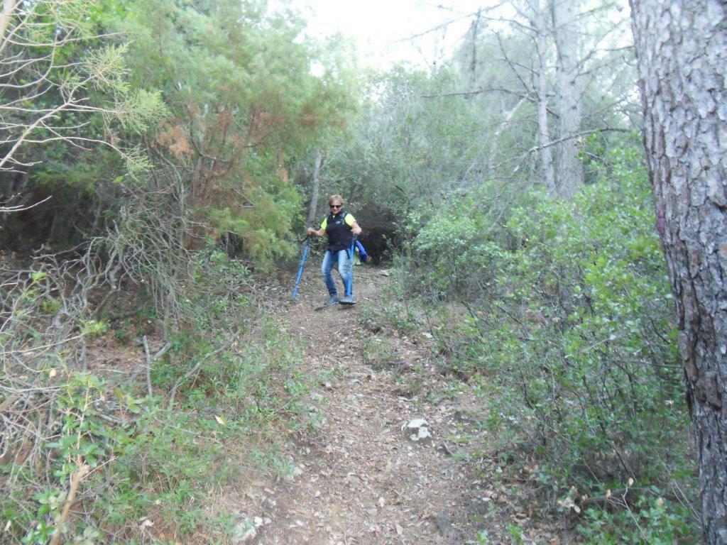 Cuges-Barres du Castellet et du Castillon-Jeudi 16 novembre 2017 VOuxCX