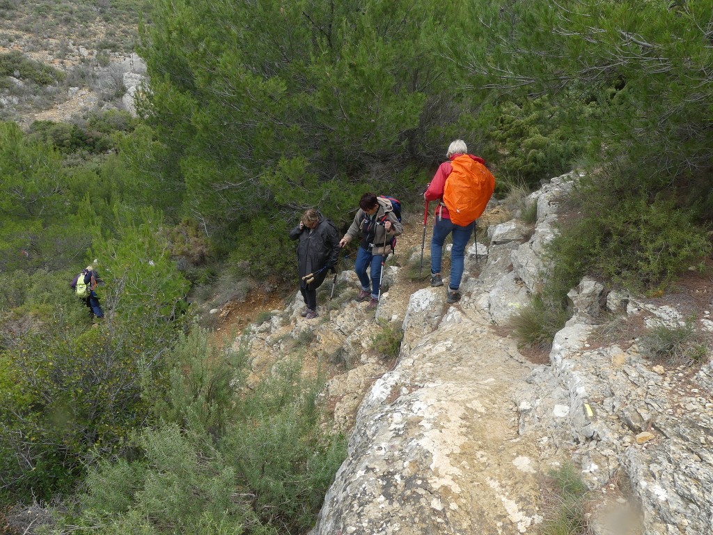 Pichauris-Plateau de l'Aroumi-Jeudi 5 décembre 2019 W3oFcK