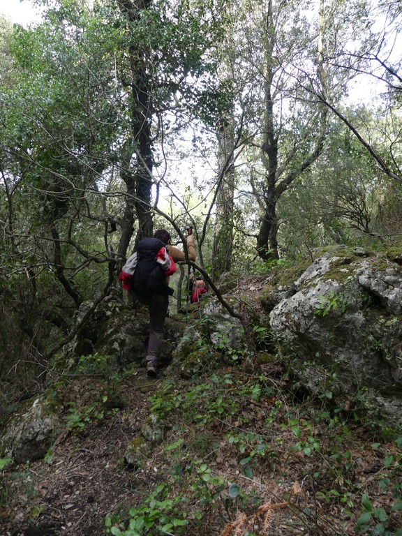 Méounes-Montrieux-Le Grand Puy-Jeudi 15 mars 2018 WEpMdn