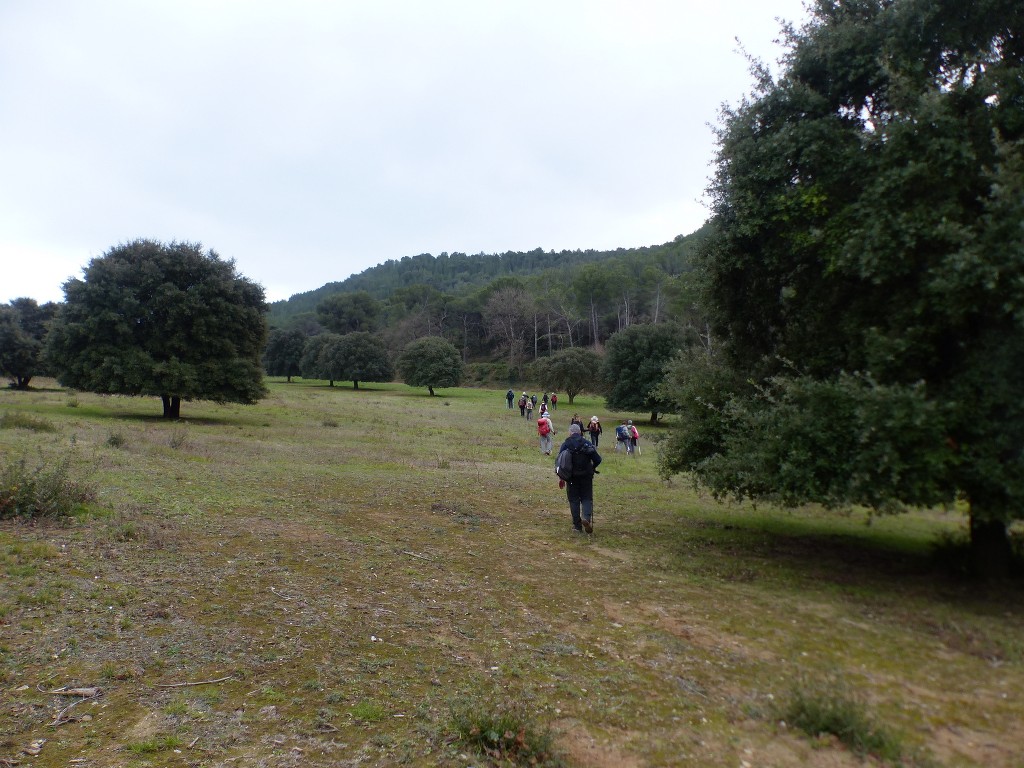 Martigues-Figuerolles-Jeudi 21 janvier 2021 WFe05x