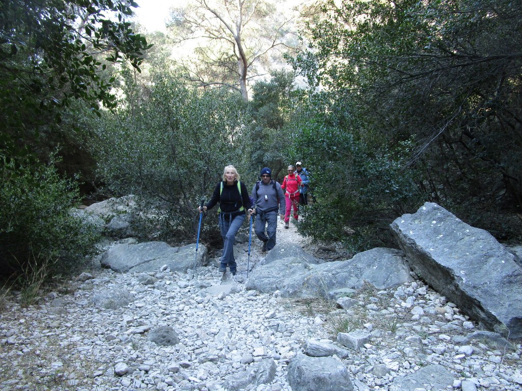 Ollioules-Gorges du Destel-Jeudi 28 mars 2019 WcEHKL