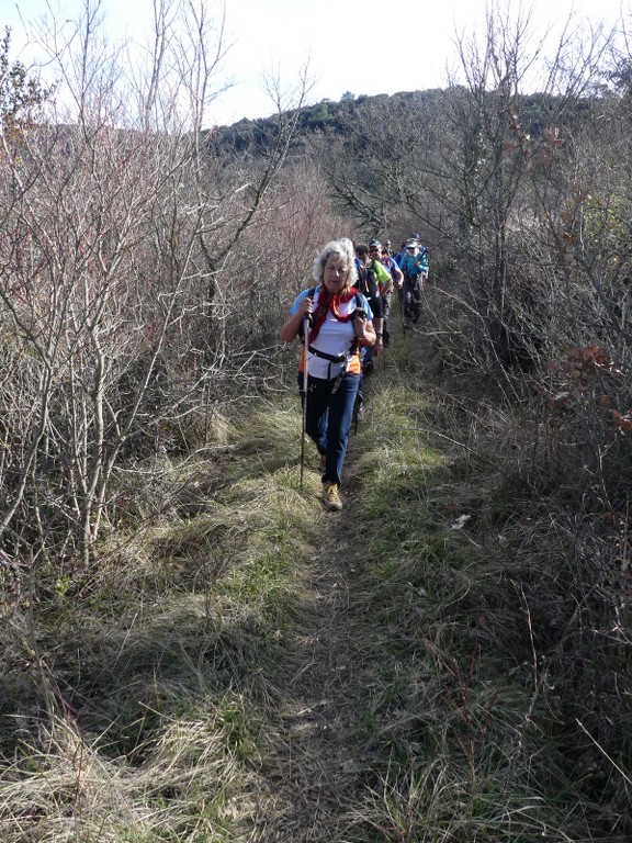 Rians-Montagne d'Artigues-Jeudi 7 mars 2019 WgXzkH