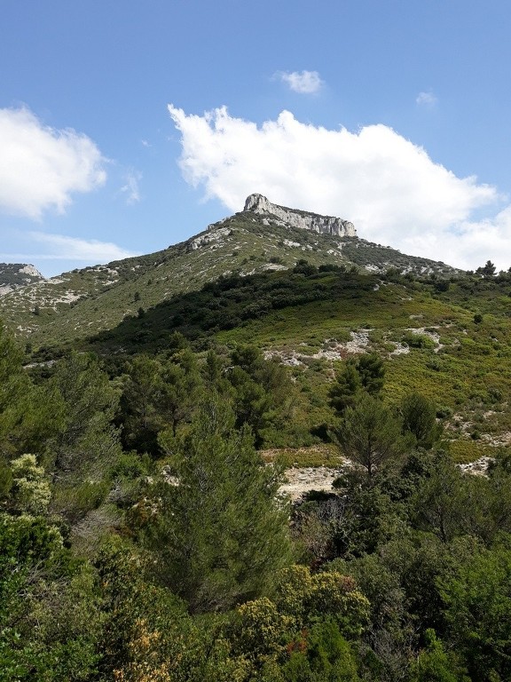 Mérindol- Gorges de Régalon - Samedi 5 mai 2018 XLUrE5