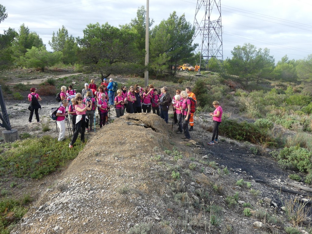 Marche octobre rose-Dimanche 9 octobre 2022 XP4lZn