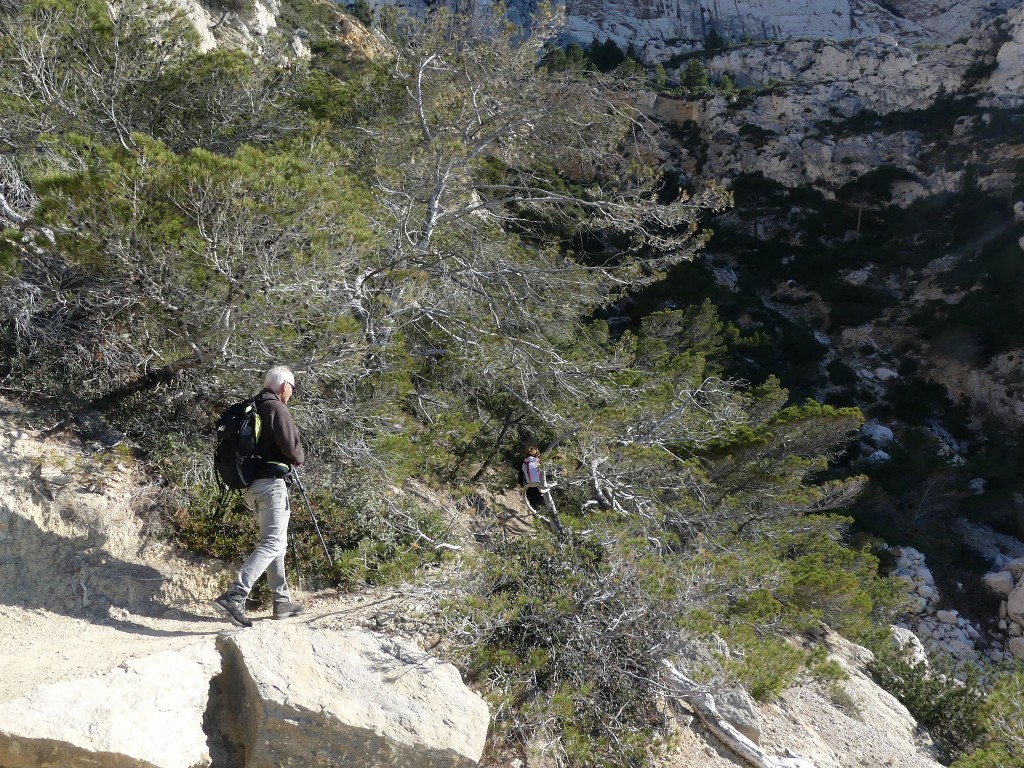 Mont Puget par l'Œil de Verre-Jeudi 20 février 2020 Y9NBiy