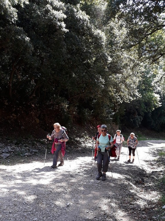 Mérindol- Gorges de Régalon - Samedi 5 mai 2018 Z8KguD