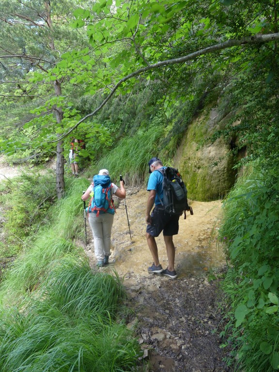 Pic St Cyr-Gorges de la Méouge-Jeudi 21 juin 2018 ZvZw2B