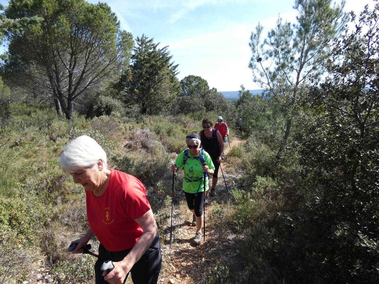 (Pierre) Calas -Plateau de l'Arbois - Samedi matin 6 mai 2023 0qmpLh