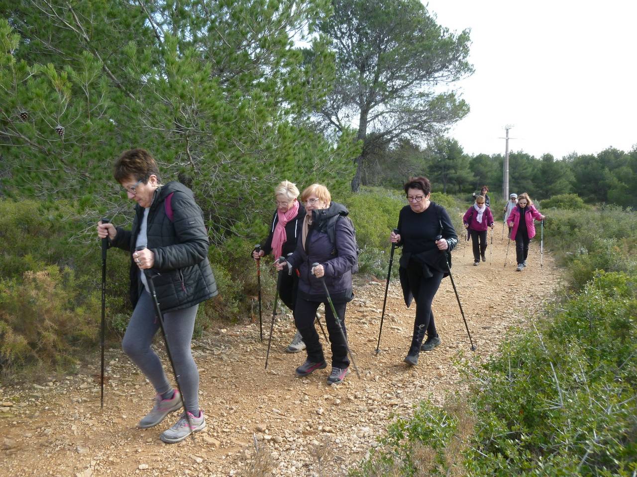 ( Colette ) Septèmes - Jeudi après-midi 15 février 2024 2gfWU4