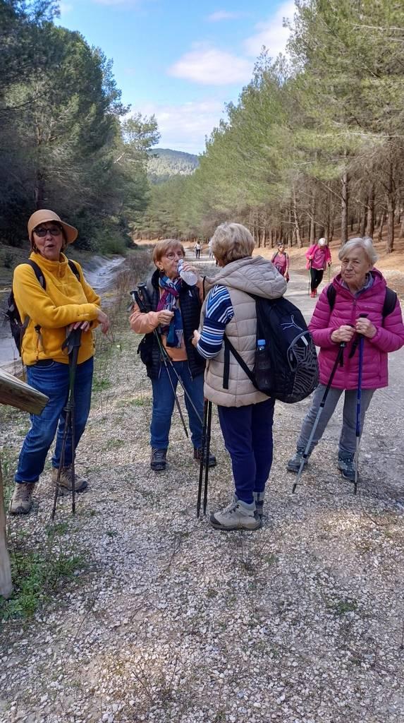 ( Colette ) Meyreuil - Jeudi après-midi 28 mars 2024 3M102g