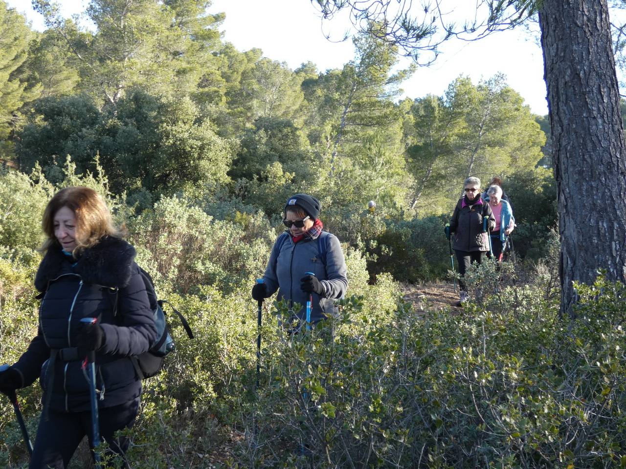 (Pierre) Gardanne - Samedi matin 3 février 2024 AGrLt3