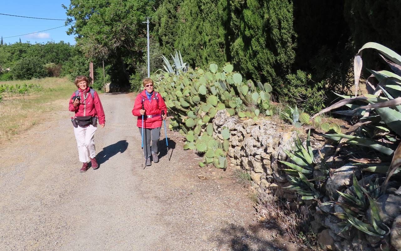 ( Jean Marie et Gérard ) Lourmarin - Jeudi 11 mai 2023 B1i8uG