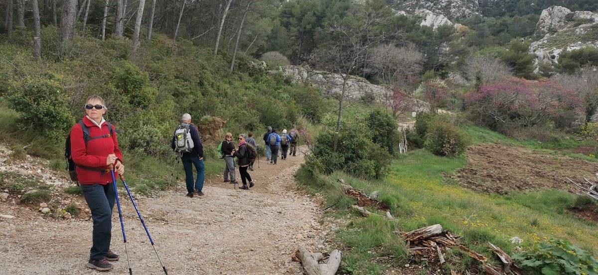 ( René et Pierre ) St Rémy de Provence - Jeudi 28 mars 2024 DLeRzY