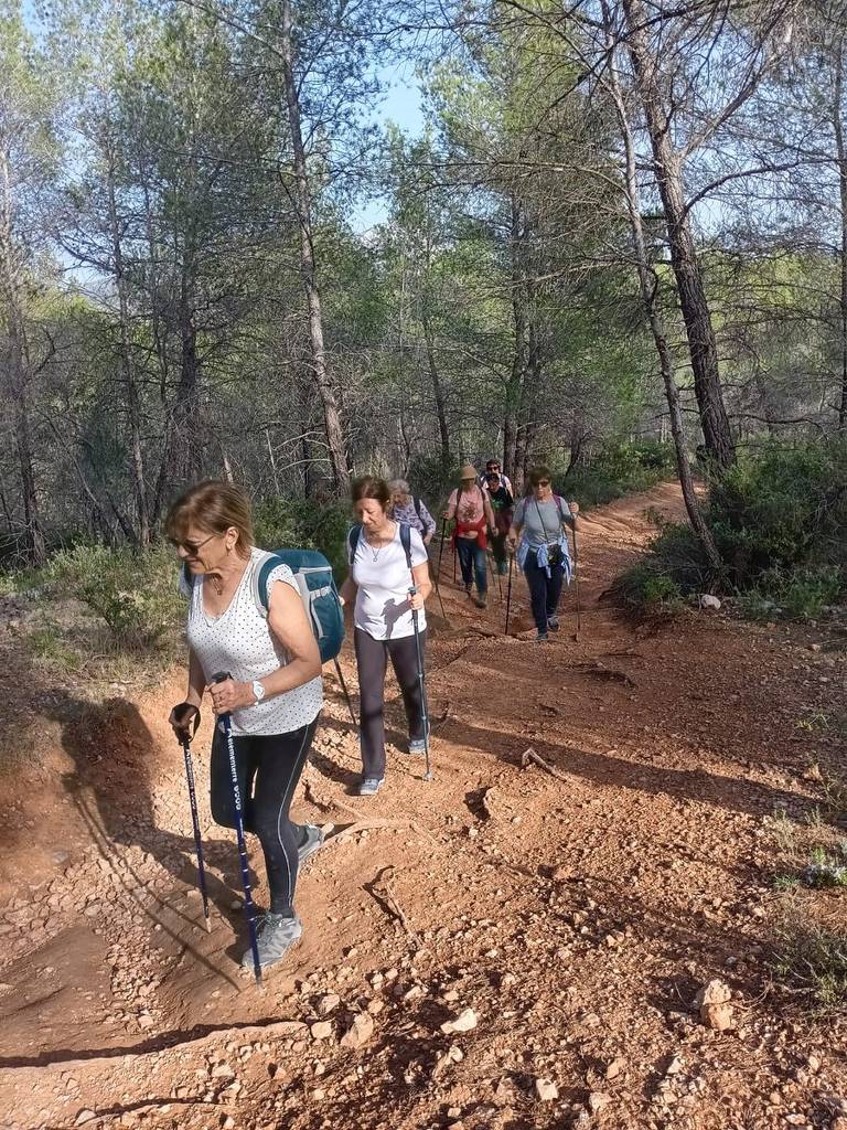 ( Colette ) Le Tholonet - Jeudi après-midi 21 mars 2024 ECmdkL