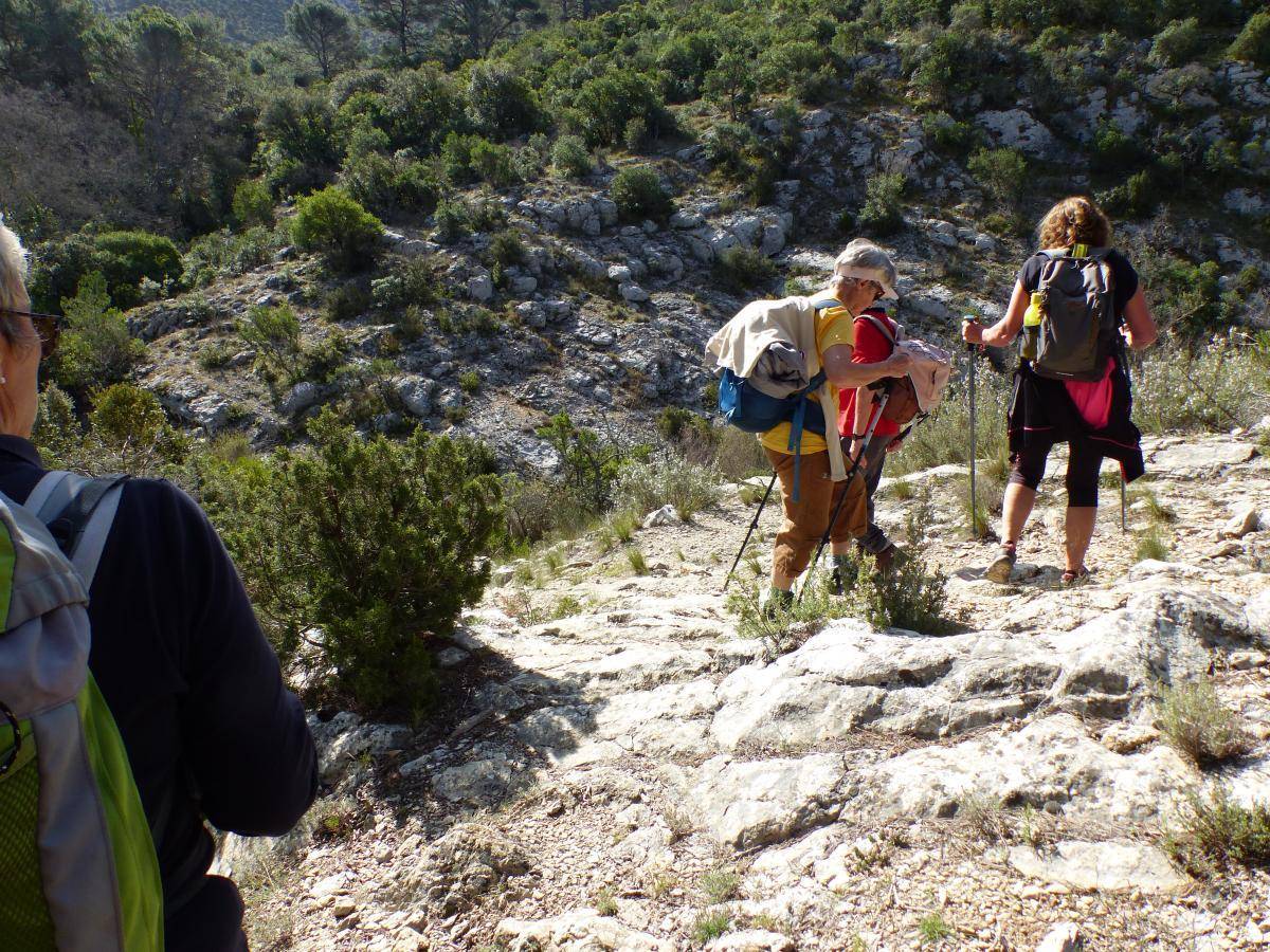 ( Gérard ) Vauvenargues - Jeudi 4 avril 2024 HneQx4