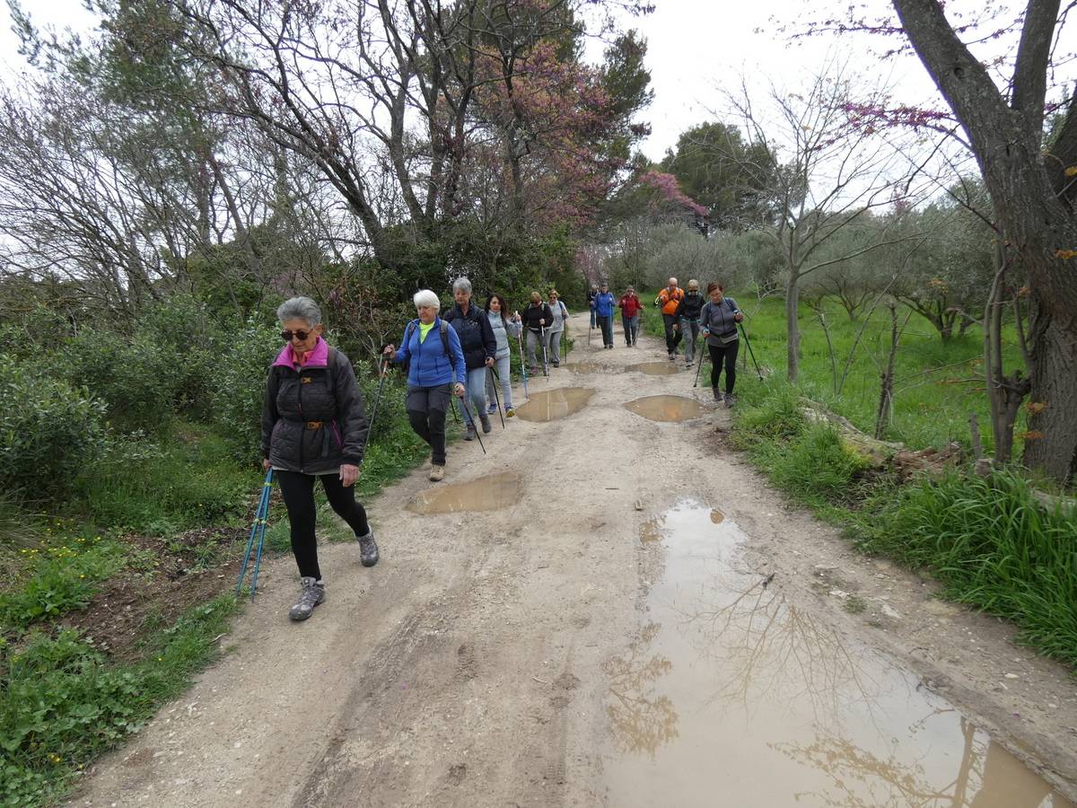 ( René et Pierre ) St Rémy de Provence - Jeudi 28 mars 2024 Mq9DGG