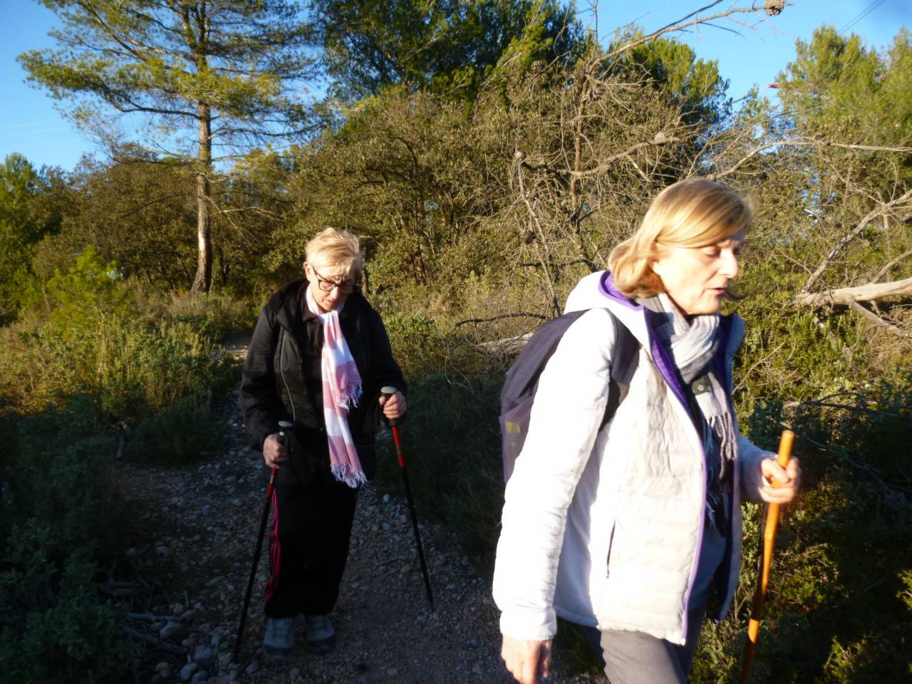 ( Colette ) Les Pennes Mirabeau - Jeudi après-midi 25 janvier 2024 N8mugJ