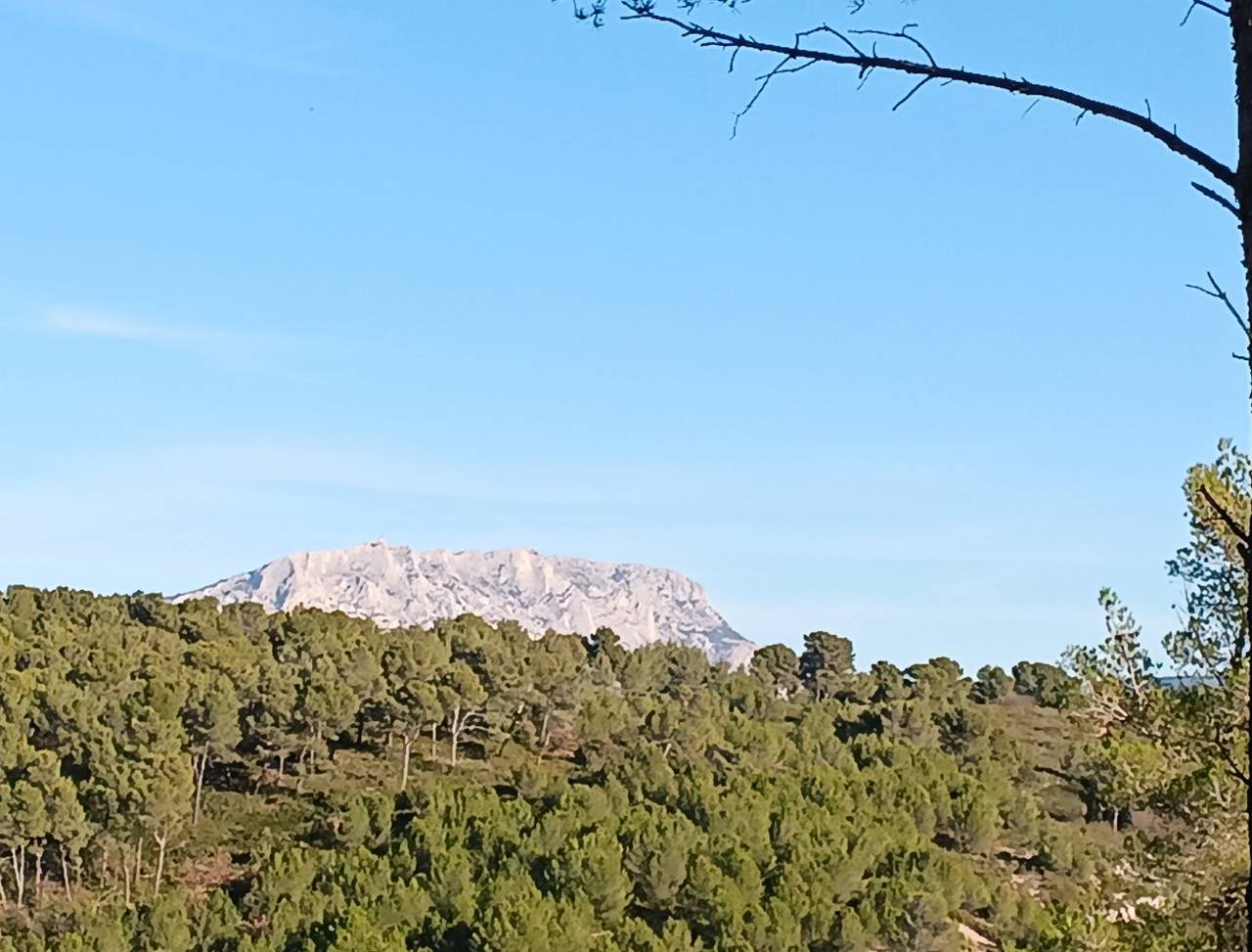 ( Colette ) Luynes - Jeudi après-midi 4 janvier 2024 NwtZIT