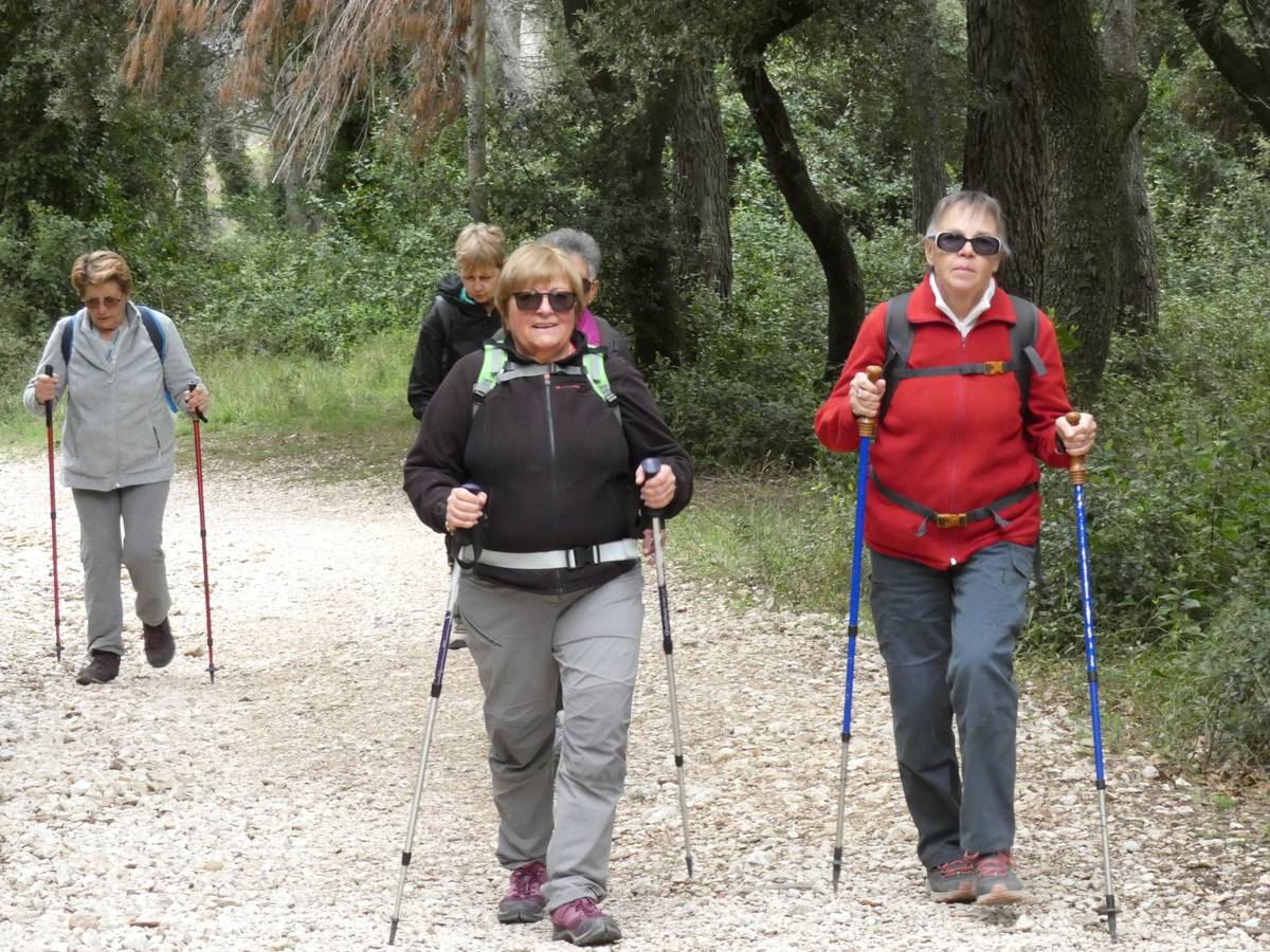 ( René et Pierre ) St Rémy de Provence - Jeudi 28 mars 2024 QdvmBq