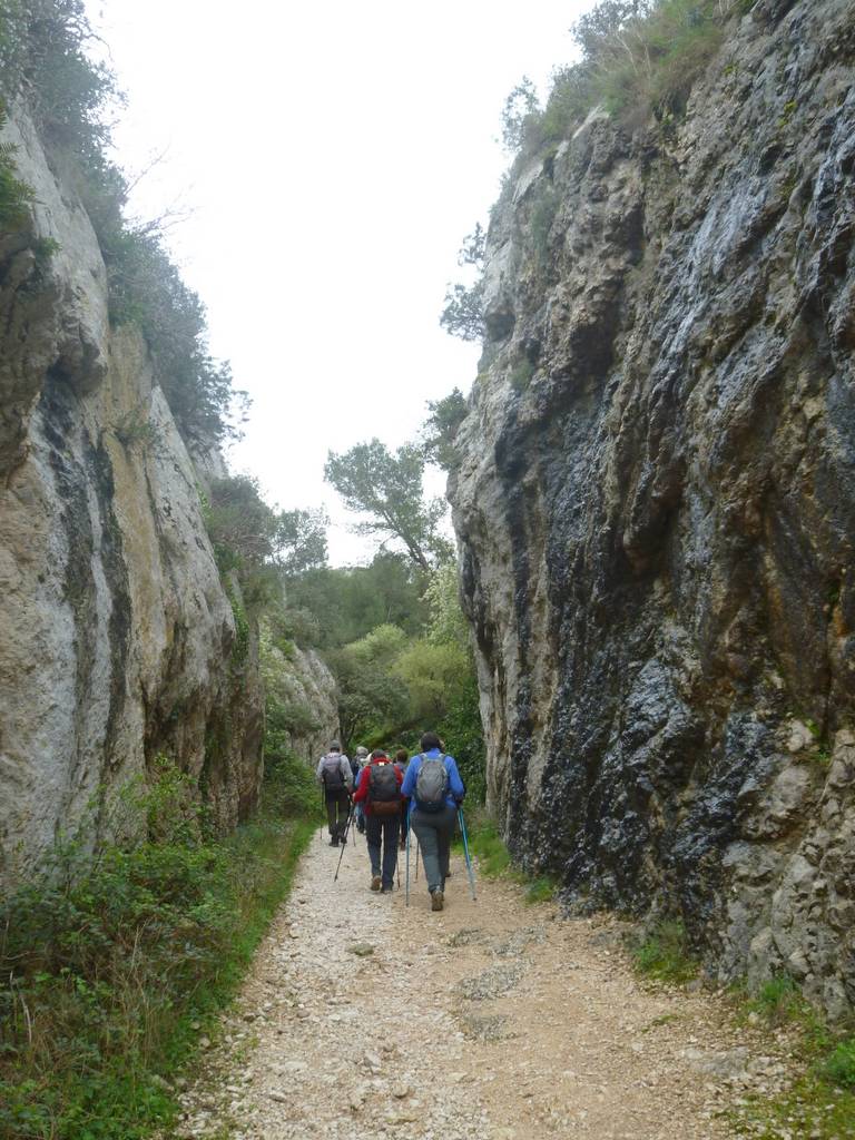 ( René et Pierre ) St Rémy de Provence - Jeudi 28 mars 2024 QvU3Bi