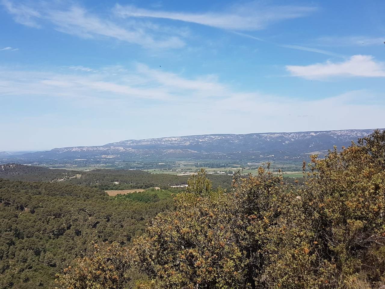 (René et Jes) La Roque d'Anthéron - Jeudi 4 mai 2023 R5qj3w