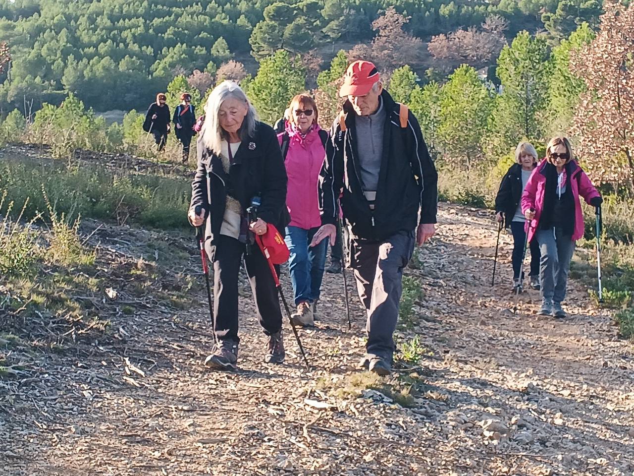 ( Colette ) Luynes - Jeudi après-midi 4 janvier 2024 UQNs1S