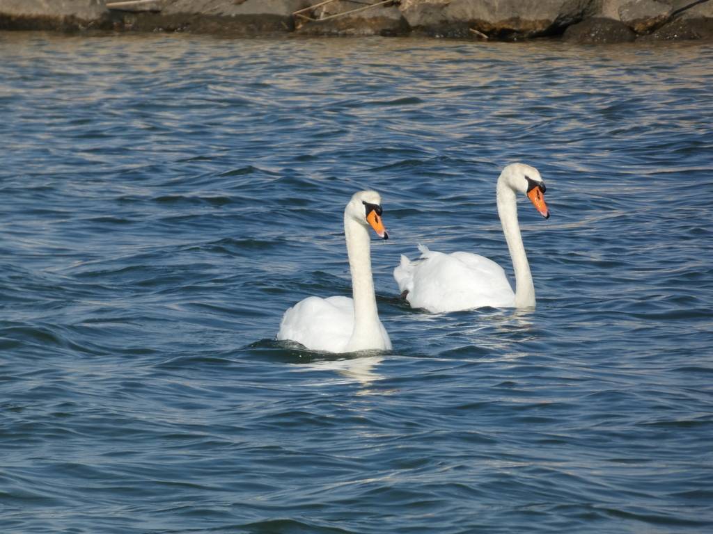 (Pierre) Berre l'Etang - Samedi matin 18 mars 2023 ATkC52