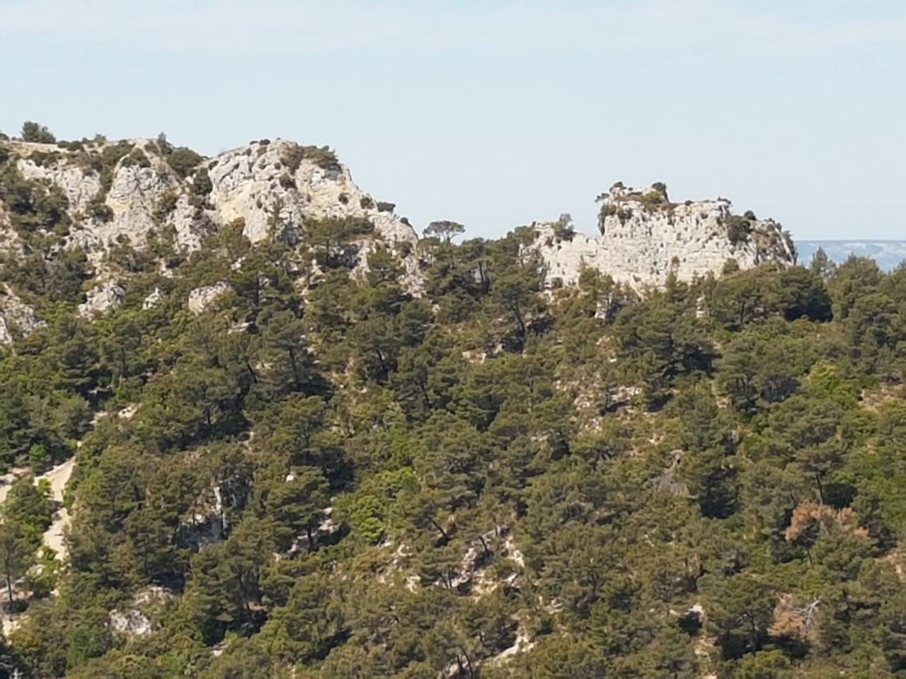 (René et Jes) La Roque d'Anthéron - Jeudi 4 mai 2023 BlJLcE