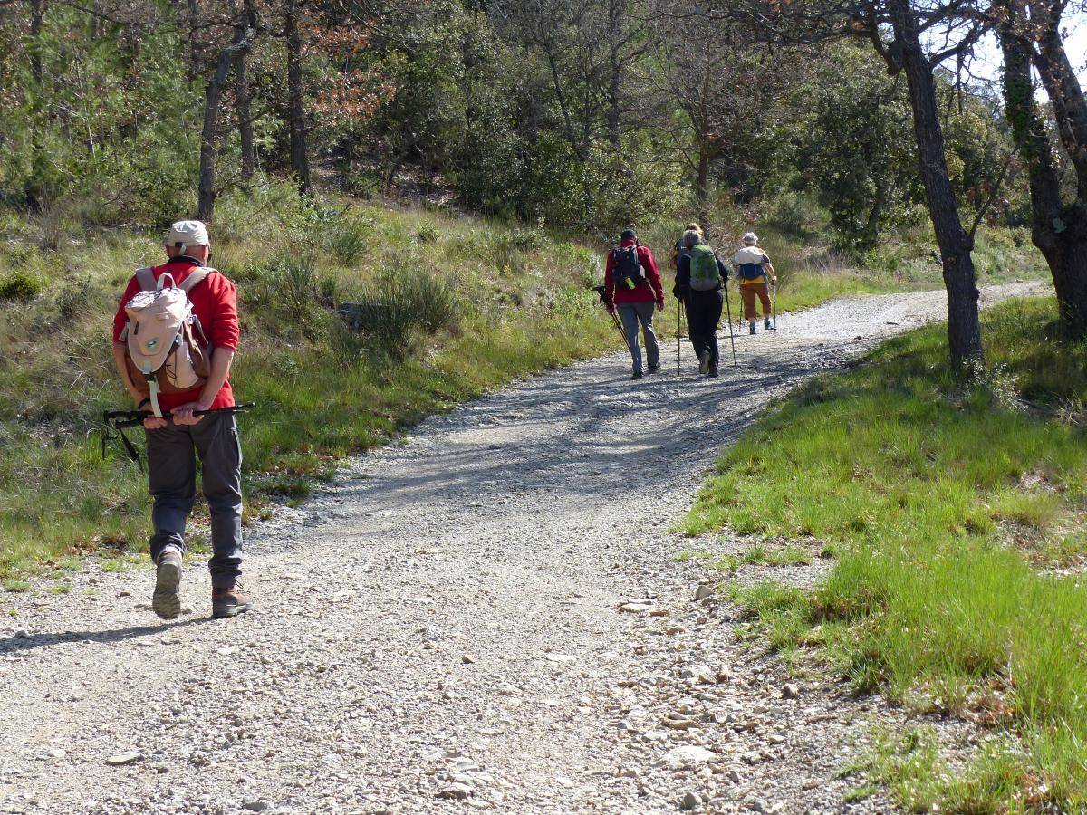 ( Gérard ) Vauvenargues - Jeudi 4 avril 2024 CBqGEK