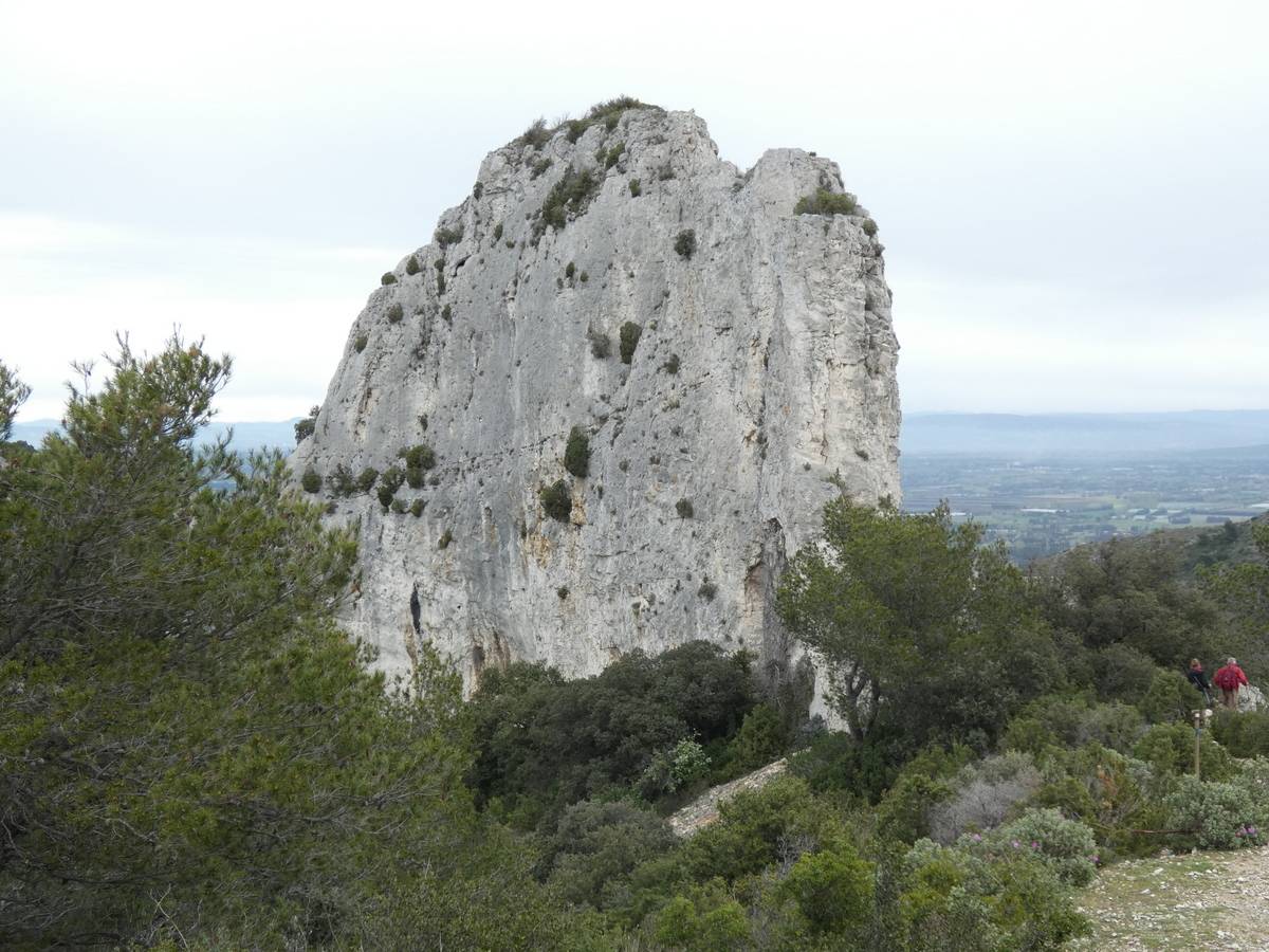 ( René et Pierre ) St Rémy de Provence - Jeudi 28 mars 2024 EvZj27