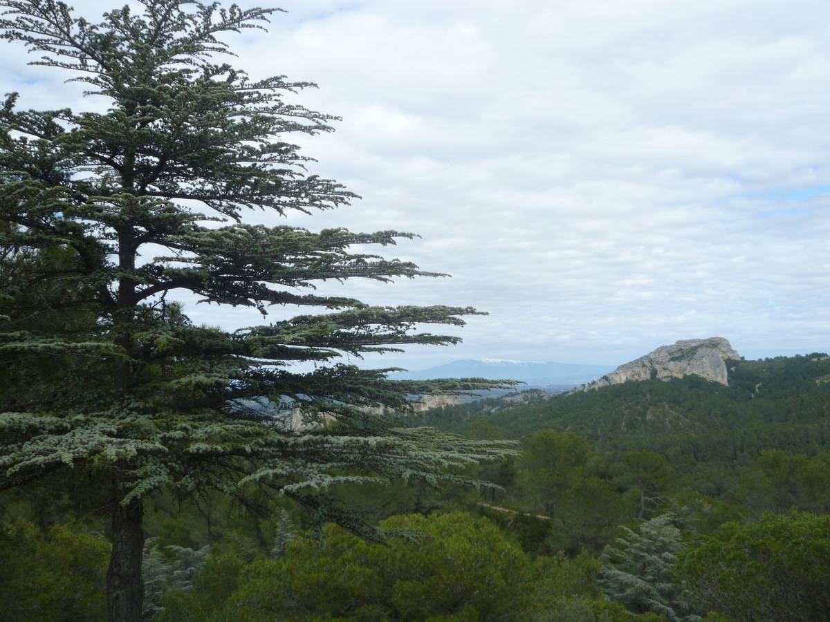 ( René et Pierre ) St Rémy de Provence - Jeudi 28 mars 2024 KTC2Ul