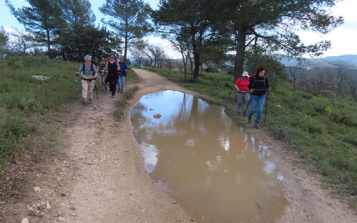 ( René ) St Savournin - Jeudi 14 mars 2024 LM094Q