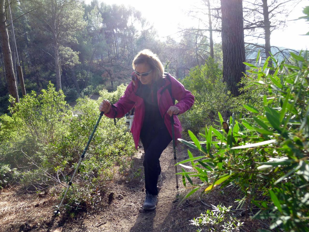 ( Colette ) Gardanne - Jeudi après-midi 8 février 2024 MnXDX2