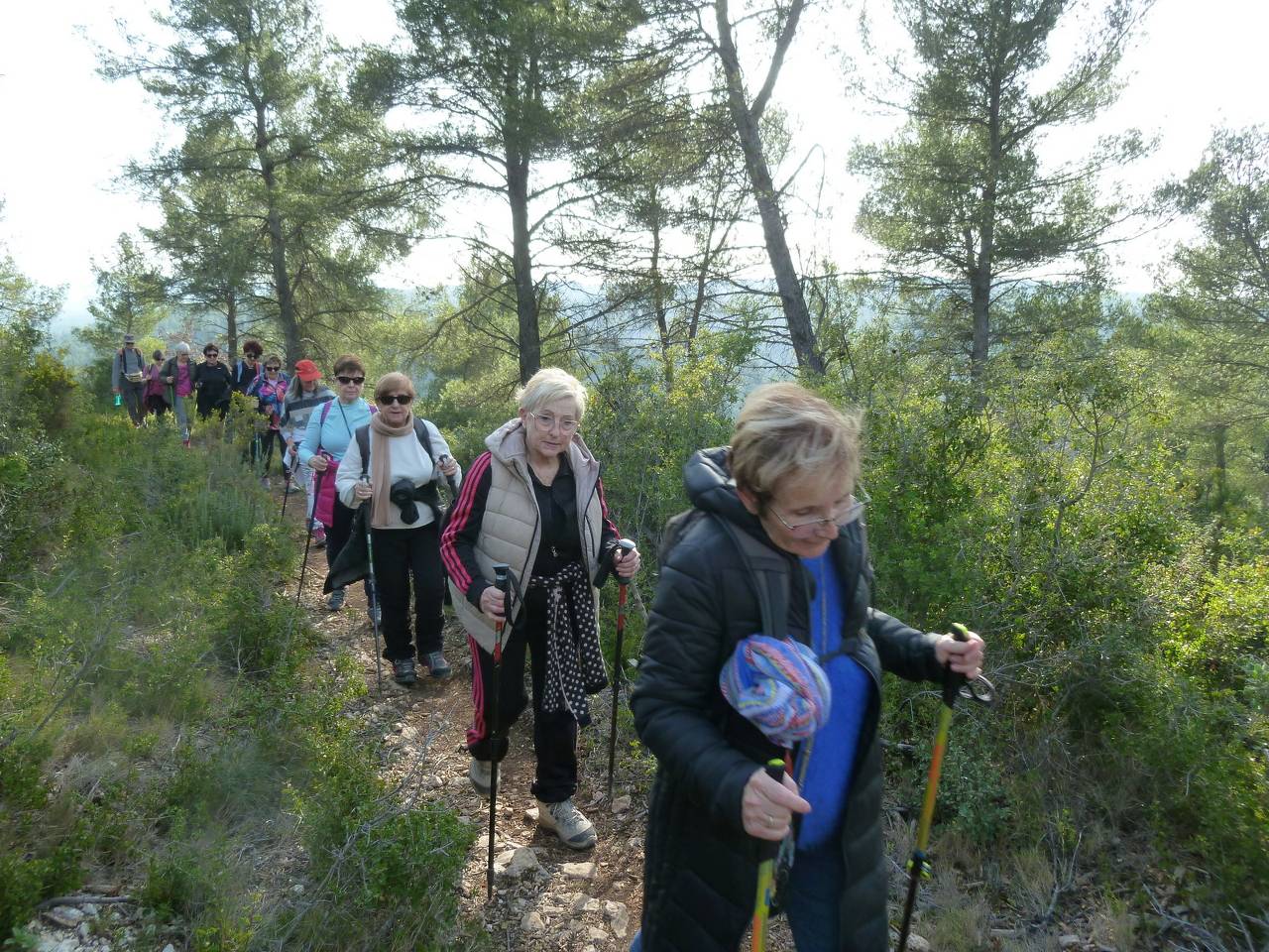 ( Colette ) Gardanne - Jeudi après-midi 8 février 2024 Qz1M5T