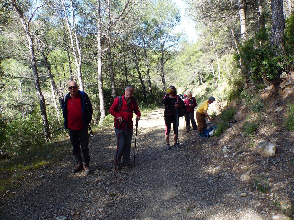 ( Gérard ) Vauvenargues - Jeudi 4 avril 2024 SWSEXH