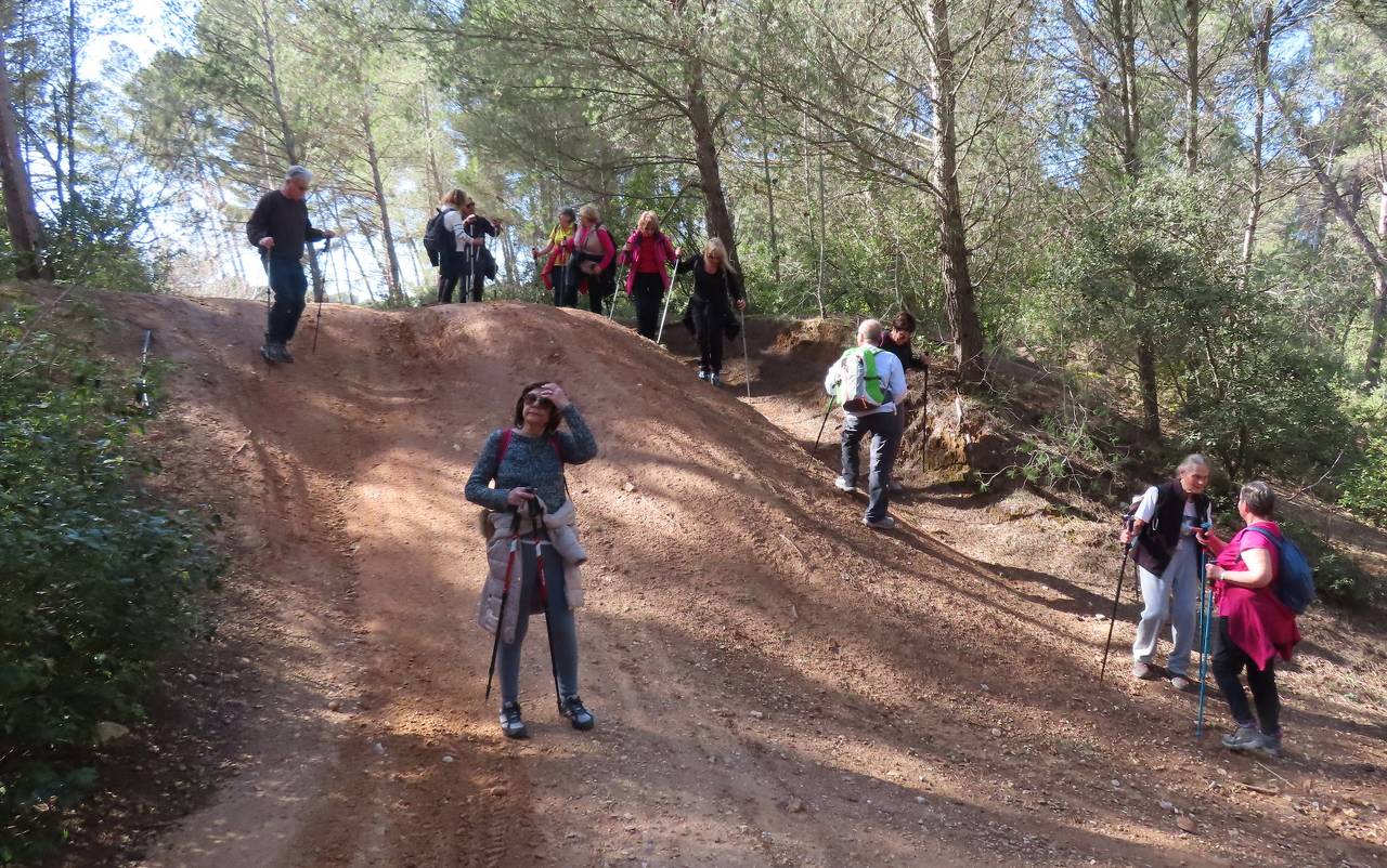 ( Colette ) Bouc Bel Air - Jeudi après-midi 7 mars 2024 SiVIai