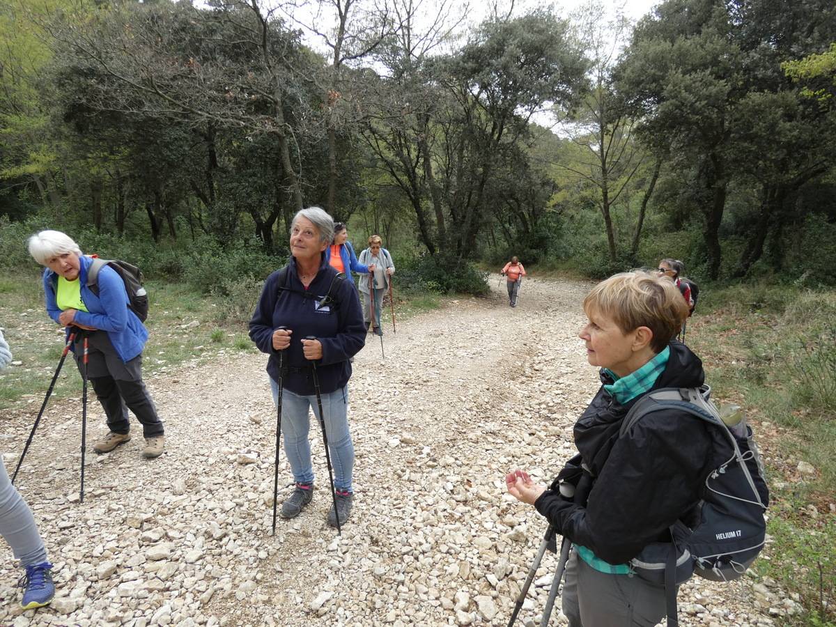 ( René et Pierre ) St Rémy de Provence - Jeudi 28 mars 2024 YjeoG4