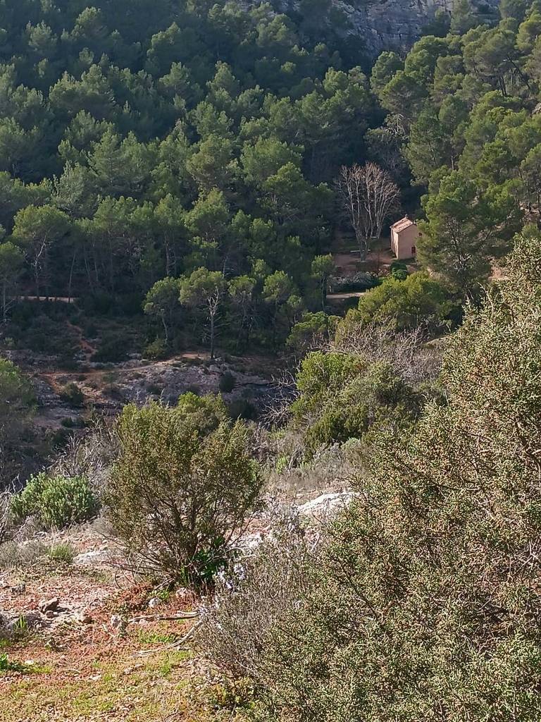 ( Colette ) Le Tholonet - Jeudi après-midi 21 mars 2024 1CBslu