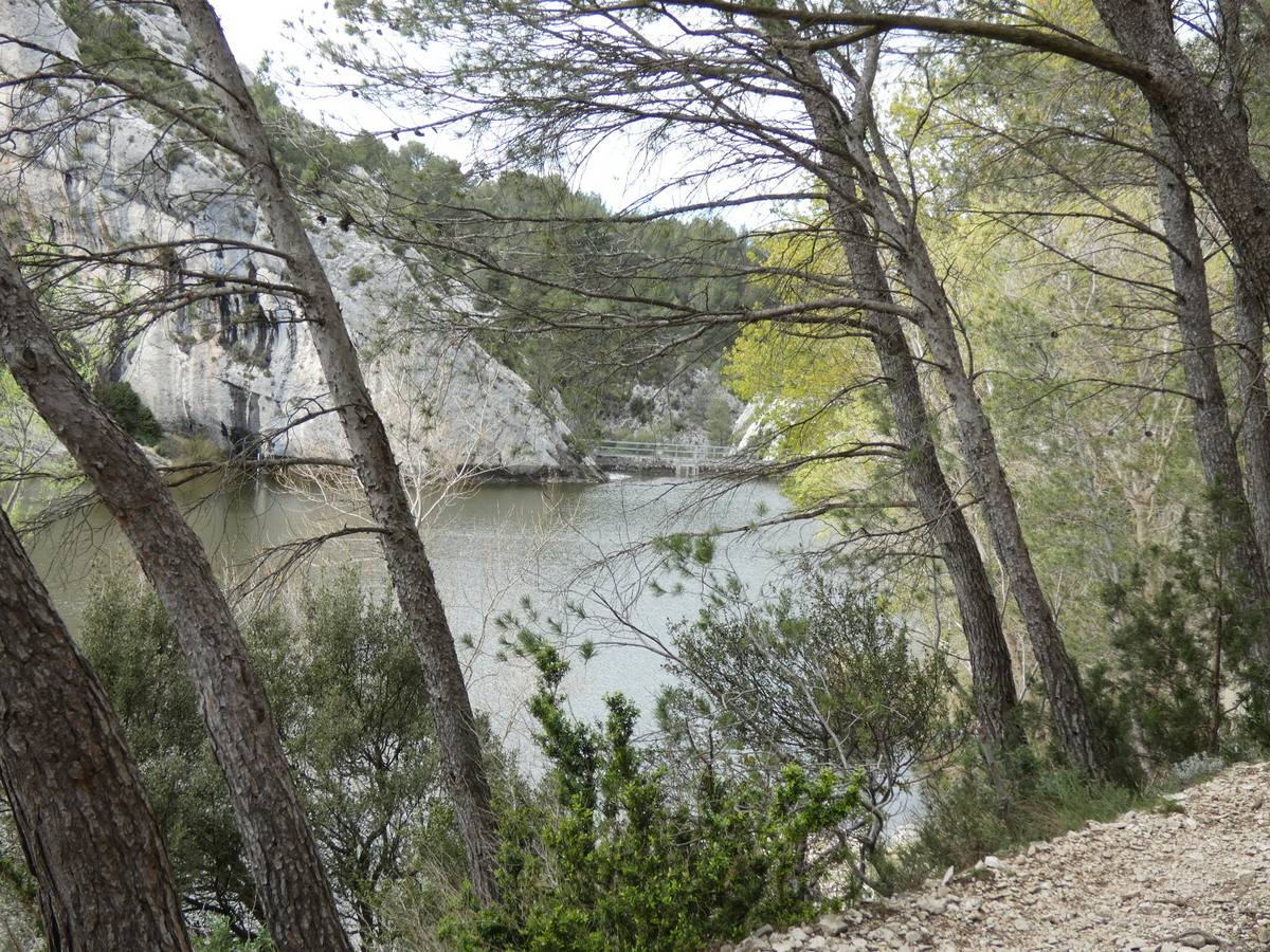 ( René et Pierre ) St Rémy de Provence - Jeudi 28 mars 2024 4dXSAi