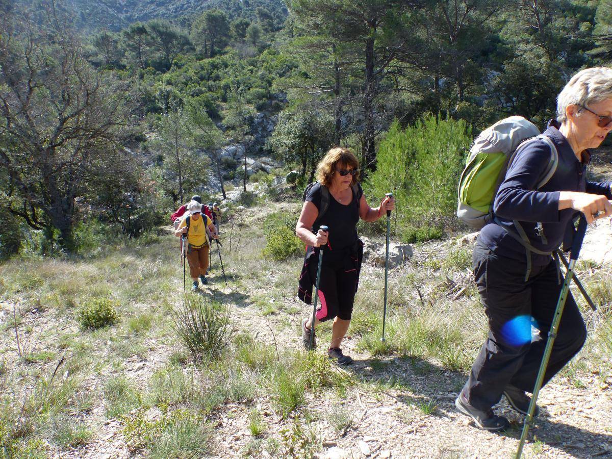 ( Gérard ) Vauvenargues - Jeudi 4 avril 2024 5PKaiw