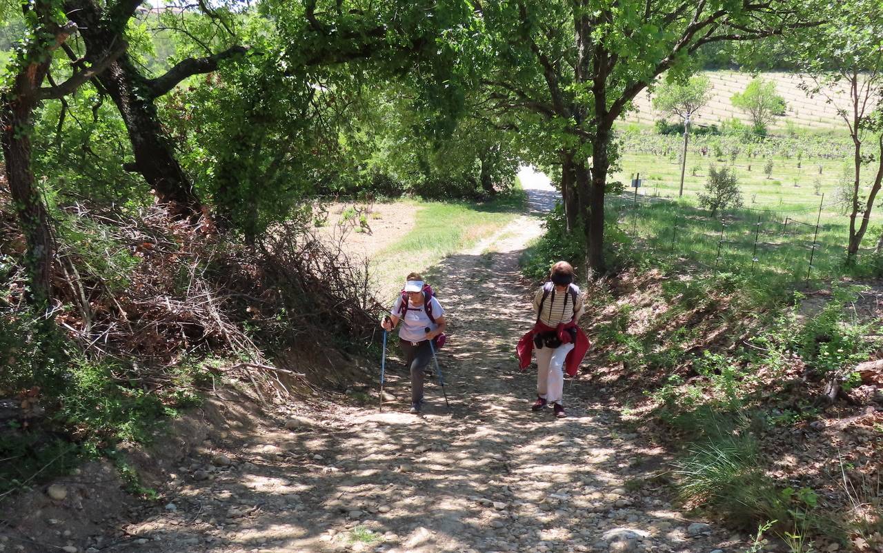 ( Jean Marie et Gérard ) Lourmarin - Jeudi 11 mai 2023 5ysu6b