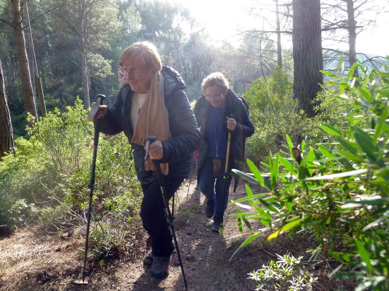 ( Colette ) Gardanne - Jeudi après-midi 8 février 2024 8egYLw