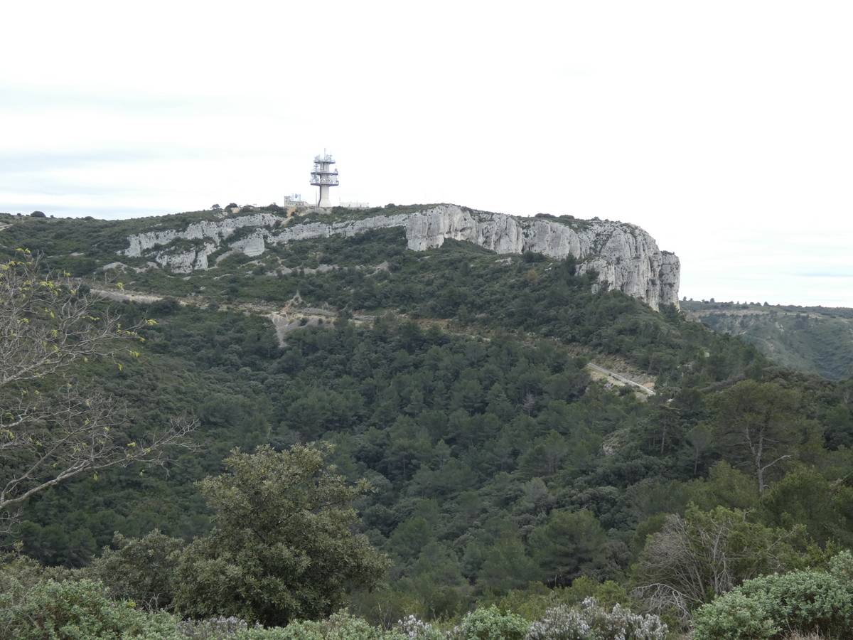 ( René et Pierre ) St Rémy de Provence - Jeudi 28 mars 2024 9czmom