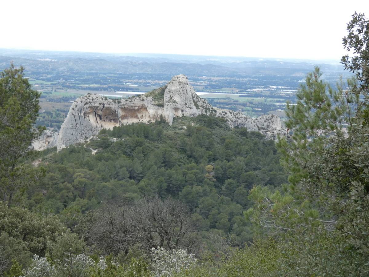 ( René et Pierre ) St Rémy de Provence - Jeudi 28 mars 2024 ACxzHf