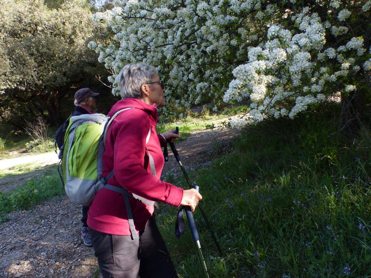 ( Gérard ) Vauvenargues - Jeudi 4 avril 2024 BsnzSe